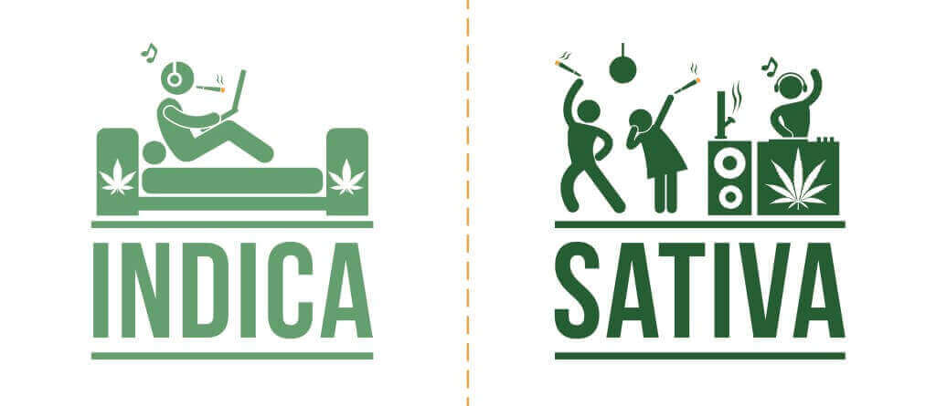 Indica vs Sativa