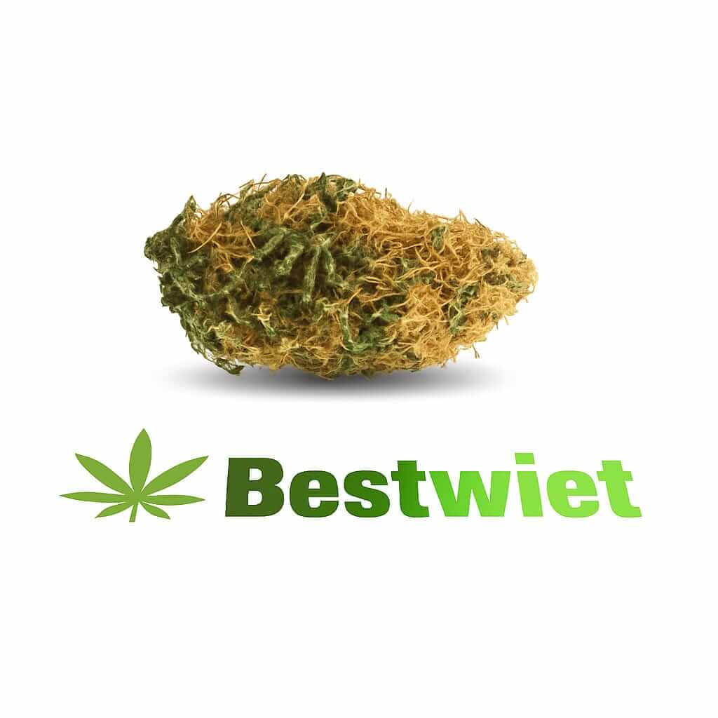 White Widow kopen