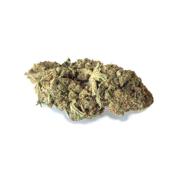Wild Amnesia Haze per 10 gram kopen