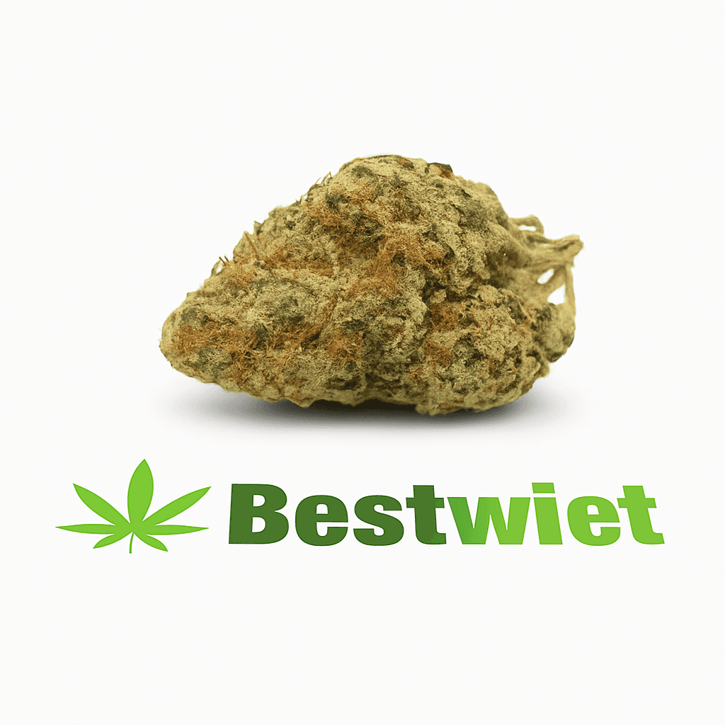 Dutch Haze kopen