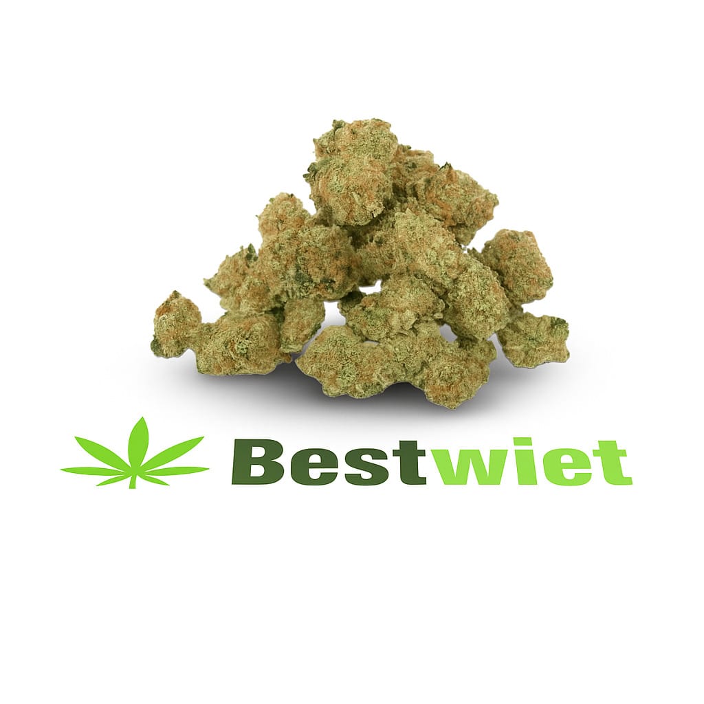 New York Diesel Lil Buds kopen