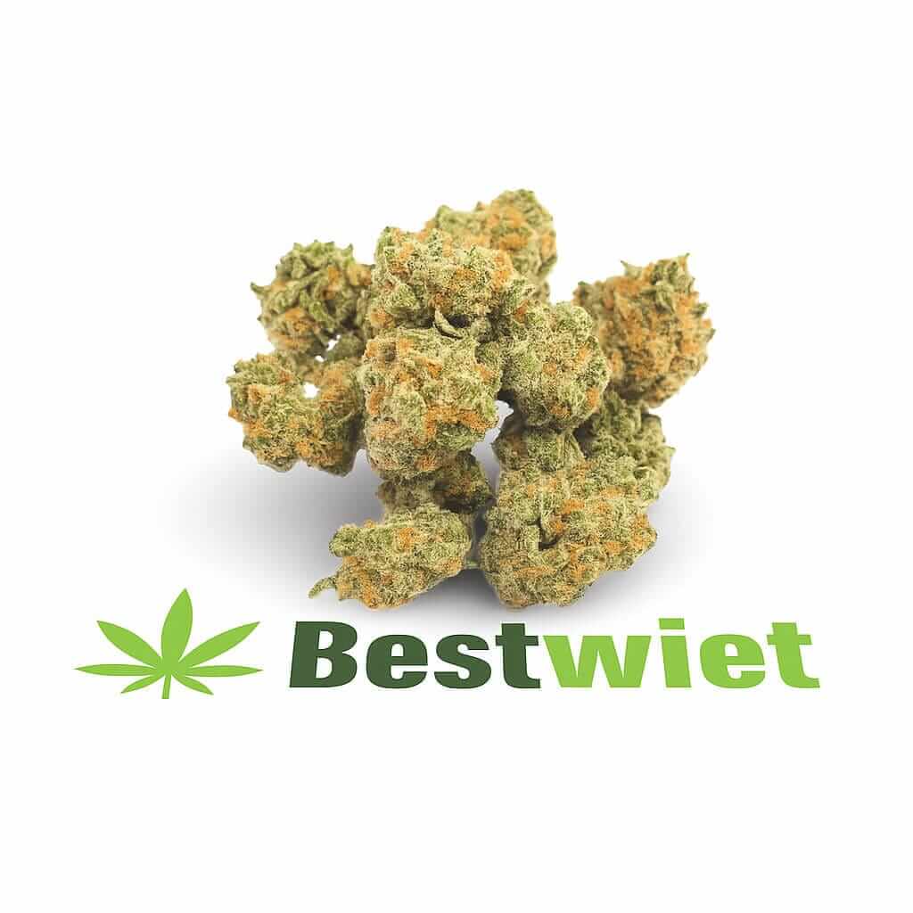 Super Lemon Haze Lil Buds kopen