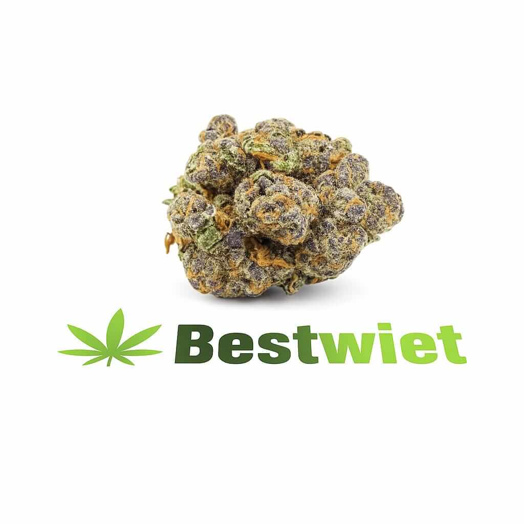 Biscotti Cali kopen