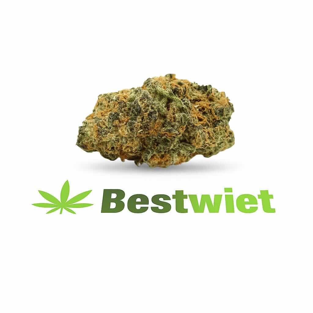Orange Bud kopen