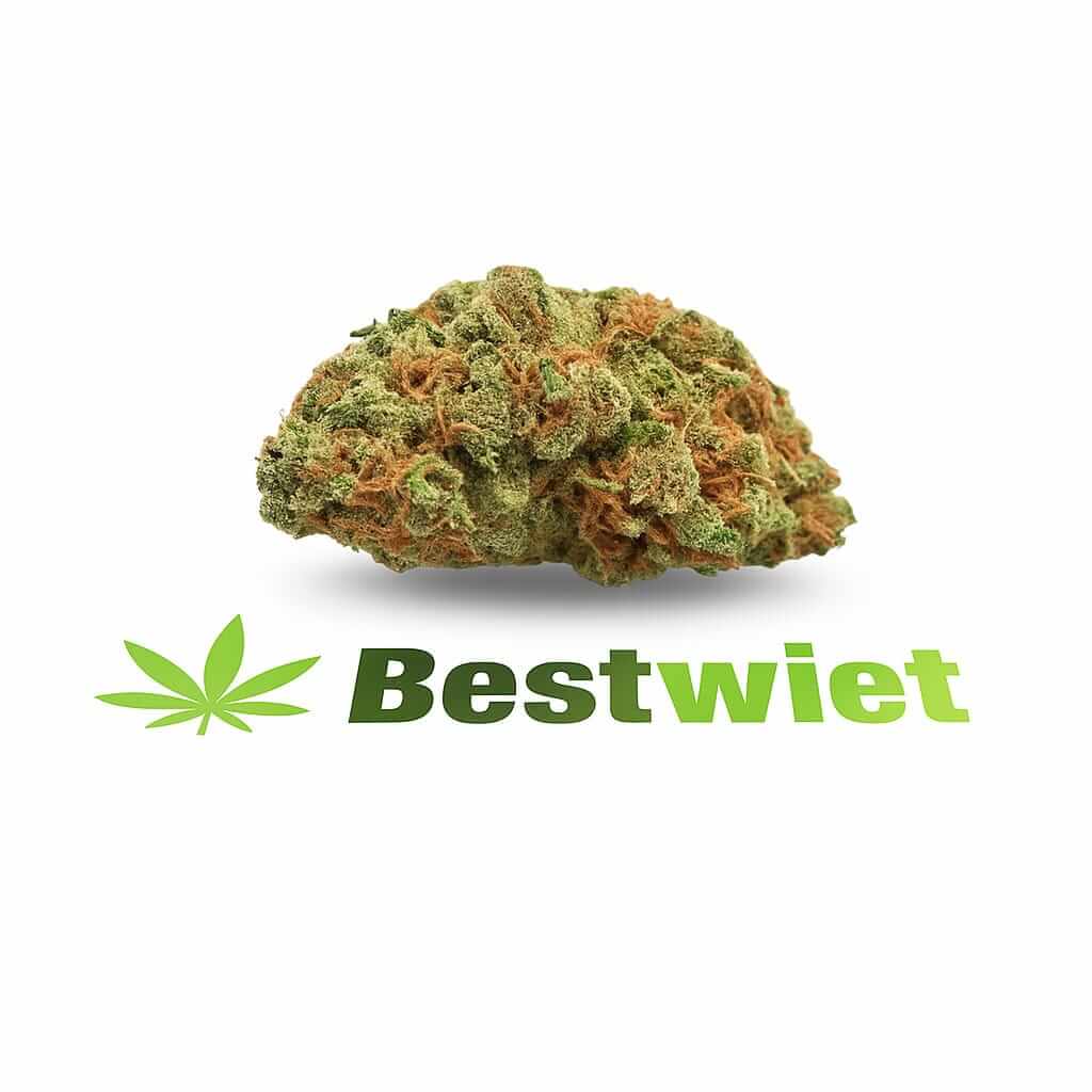 Zkittelz NL kopen