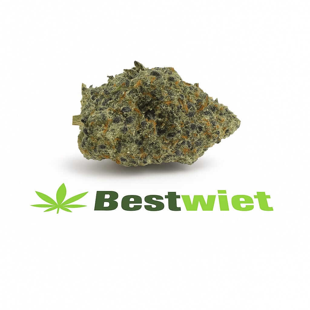 Gelato 41 kopen