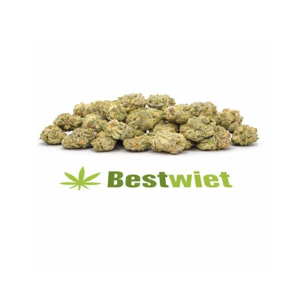Sunset Sherbert lil buds per 5 gram kopen